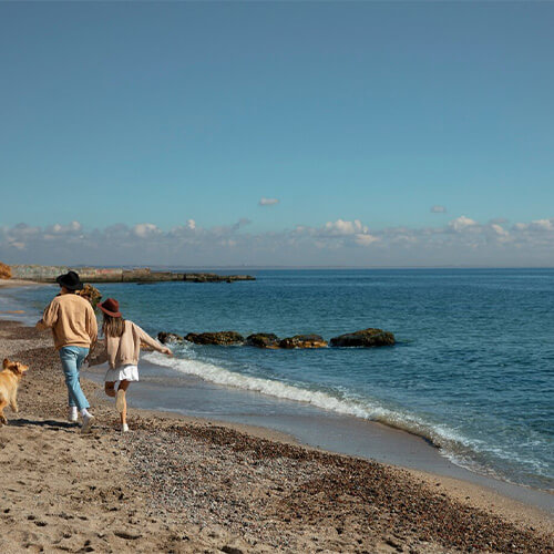 Campasun : Restaurants Sanary-Sur-Mer Plage