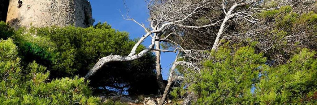 Campasun : Restaurants Sanary Sur Mer Point De Vue