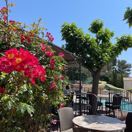 Restaurants Sanary-sur-Mer La Savane