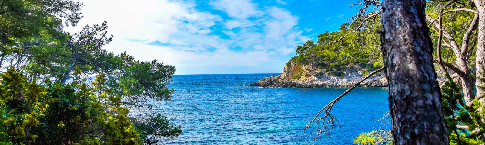 CAMPASUN - Découverte des plus belles plages de Sanary