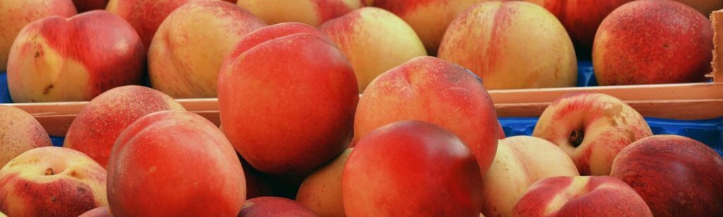 Campasun : Beaux Marchés Dans Le Var